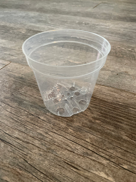4" super clear round azalea pot *NEW*