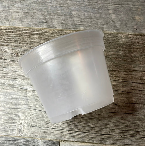 5" translucent round azalea pot