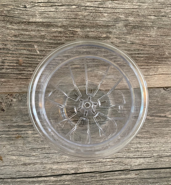 a small clear plastic flower pot with a wooden background