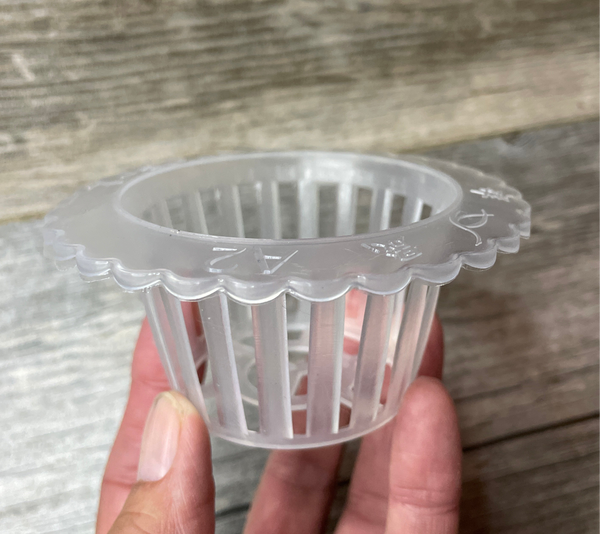 A hand holding a 4” scalloped edge clear plastic orchid basket