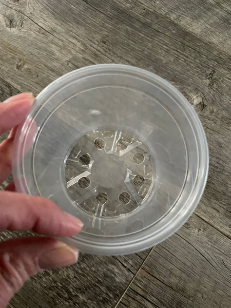 4” clear round economy pot *NEW*
