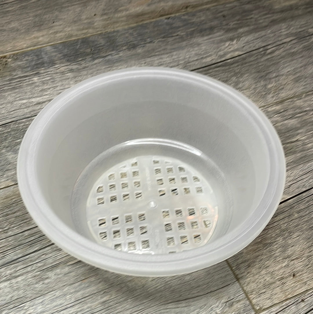 7" clear textured shallow bulb pan