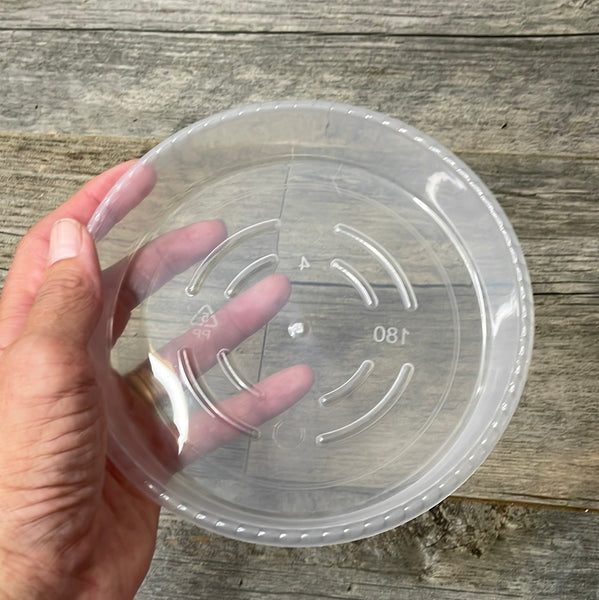 6” clear plastic pot saucer