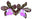 logo of Quarter Acre Orchids – QuarterAcreOrchids