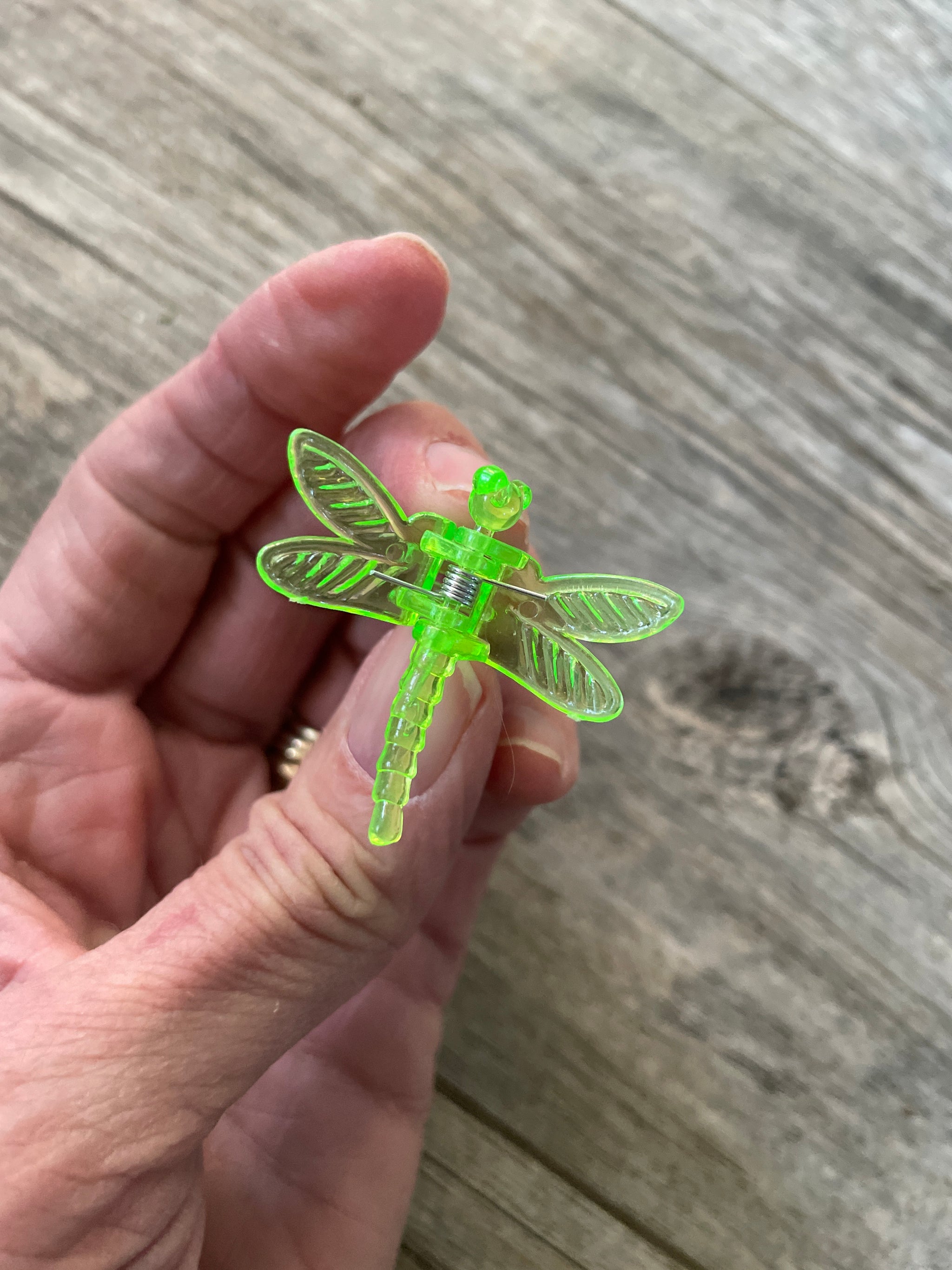Dragonfly plant clips - 18 pack *NEW COLORS* – QuarterAcreOrchids