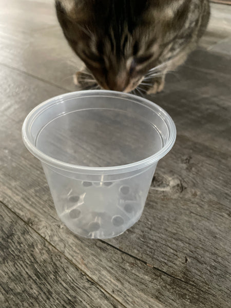4” clear round economy pot *NEW*