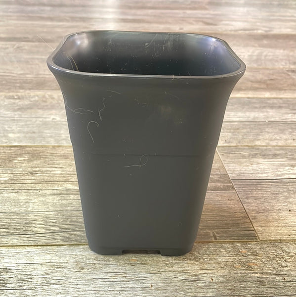 5.5" square sturdy black plastic succulent & bonsai pot