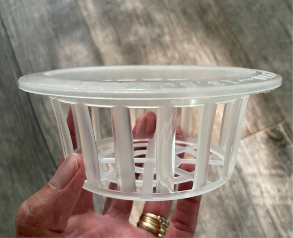 5.5" clear plastic orchid basket