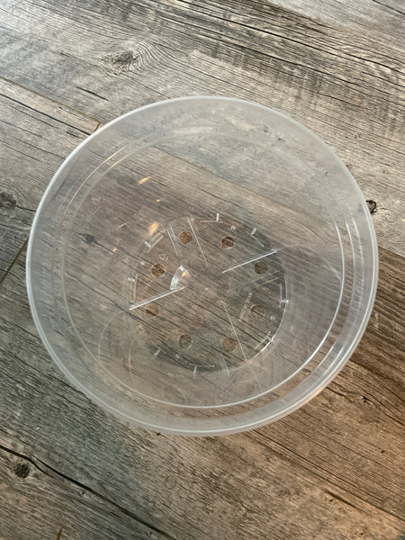8" super clear round azalea pot *NEW*