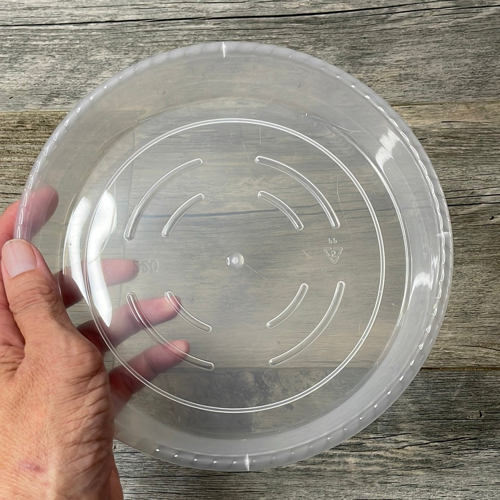 20 inch clear plastic plant saucer 7” clear plastic plant saucer – QuarterAcreOrchids