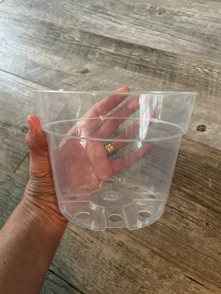 6" super clear round azalea pot *NEW*