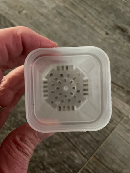 2” square clear seedling pot *NEW*