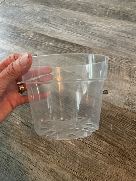6" super clear round azalea pot *NEW*
