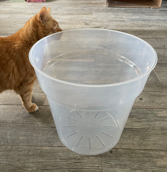 13.8" jumbo ultra clear round orchid pot *NEW*