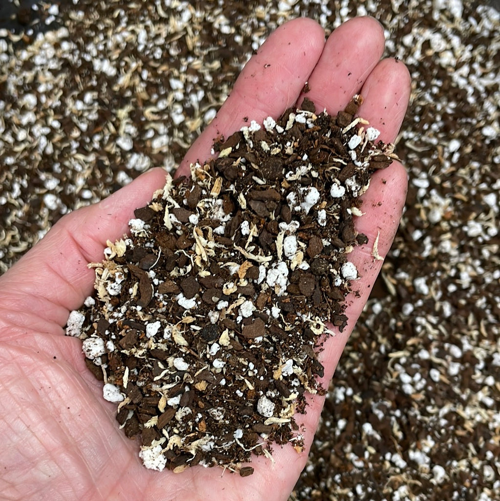 orchid potting soil mix Jewel Orchid Potting Mix – QuarterAcreOrchids