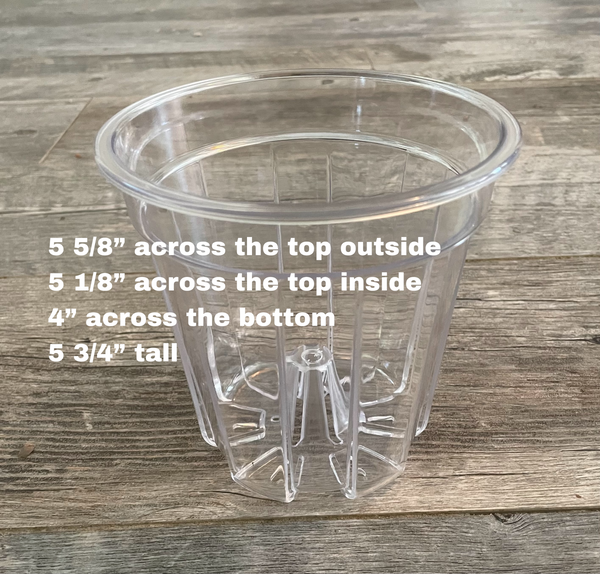 5.6” round high transparency pot with cone *NEW*