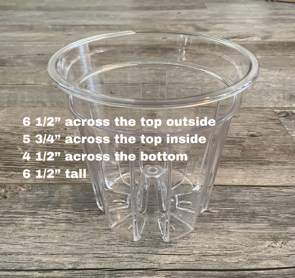6.5” round high transparency pot with cone *NEW*