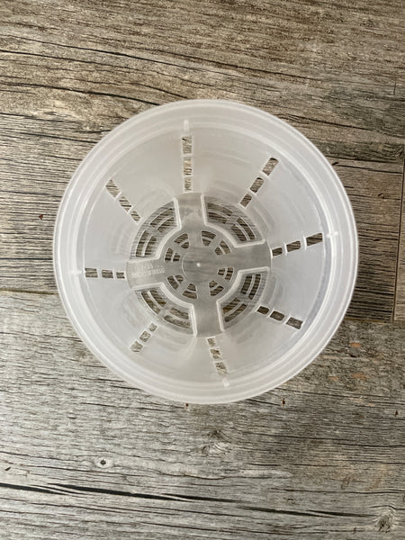 a view from the top of a 4" round clear orchid pot showing the side slots and many holes on the bottom
