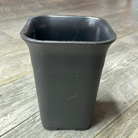 4" square sturdy black plastic succulent pot *NEW*