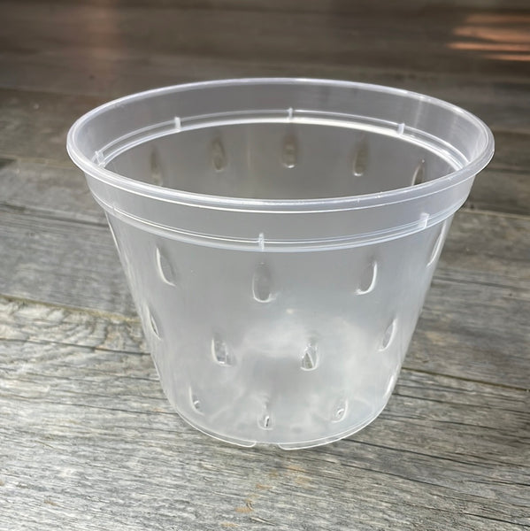 6" clear round orchid pot with holes *NEW*