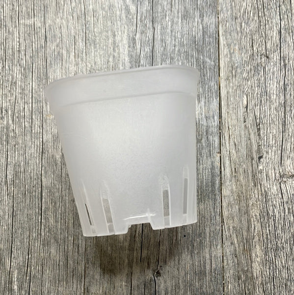 3.25" round cornered clear square seedling pot