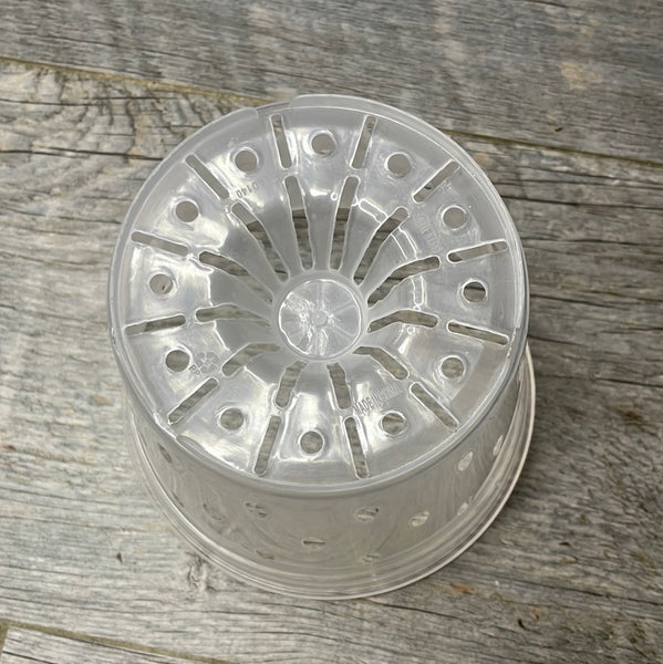5.5" clear round orchid pot with holes *NEW*