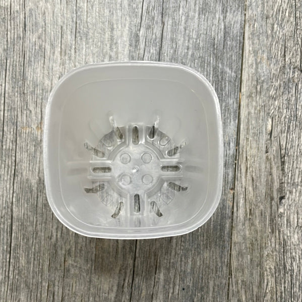 2.5" square round cornered clear seedling pot *NEW*