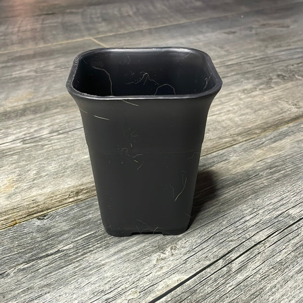 3.5" square sturdy black plastic succulent pot *NEW*