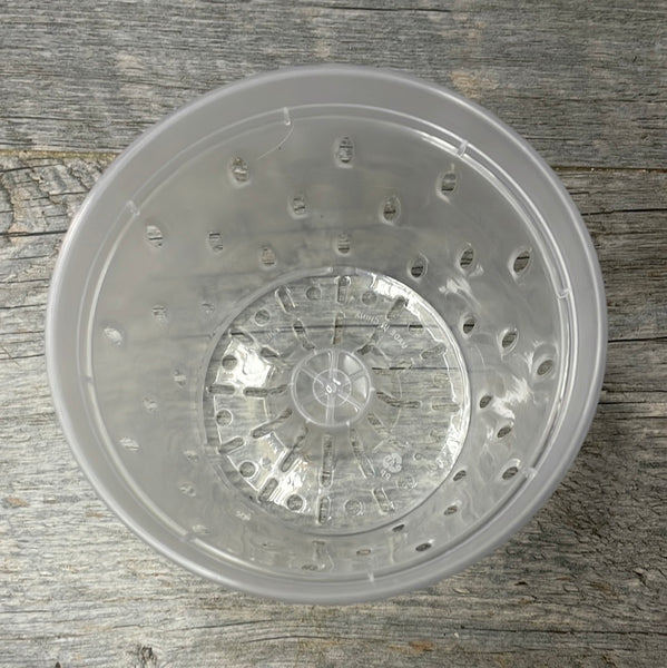 5" clear round orchid pot with holes *NEW*