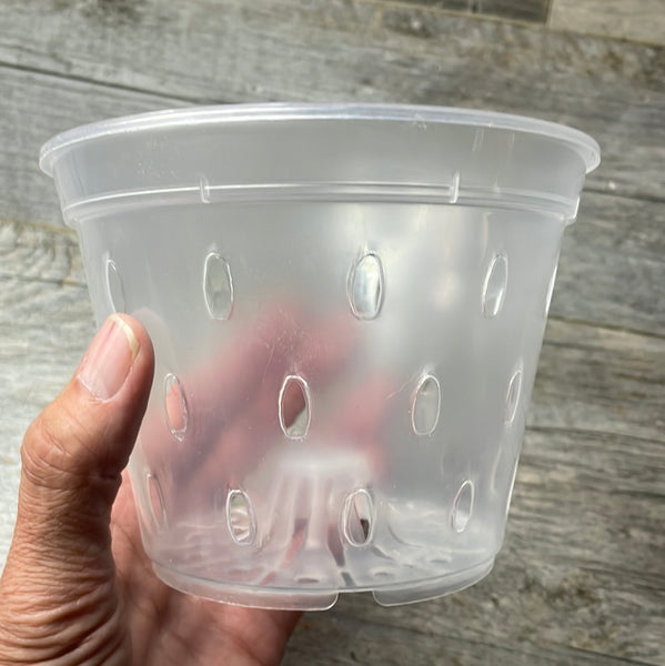 5.5" clear round orchid pot with holes *NEW*