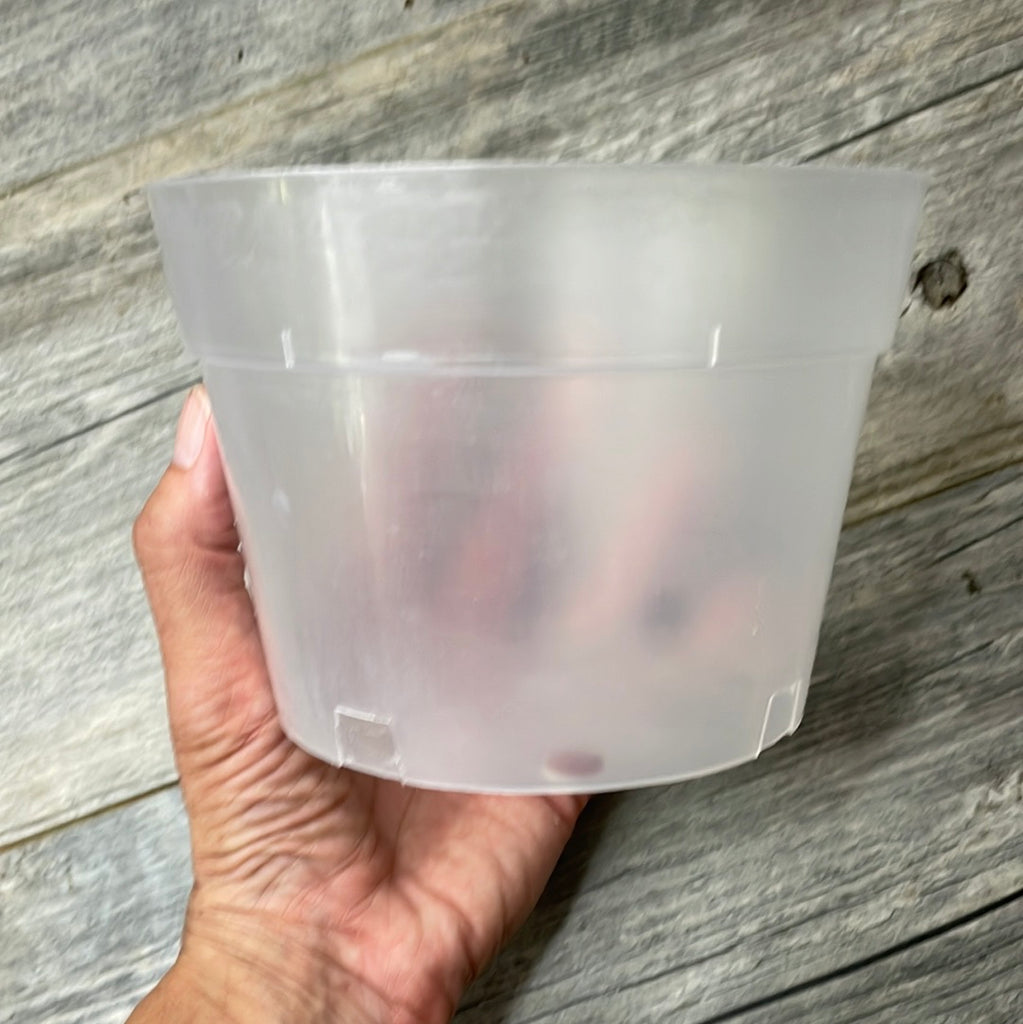 empty plastic plant pots 6" clear round orchid pot – QuarterAcreOrchids
