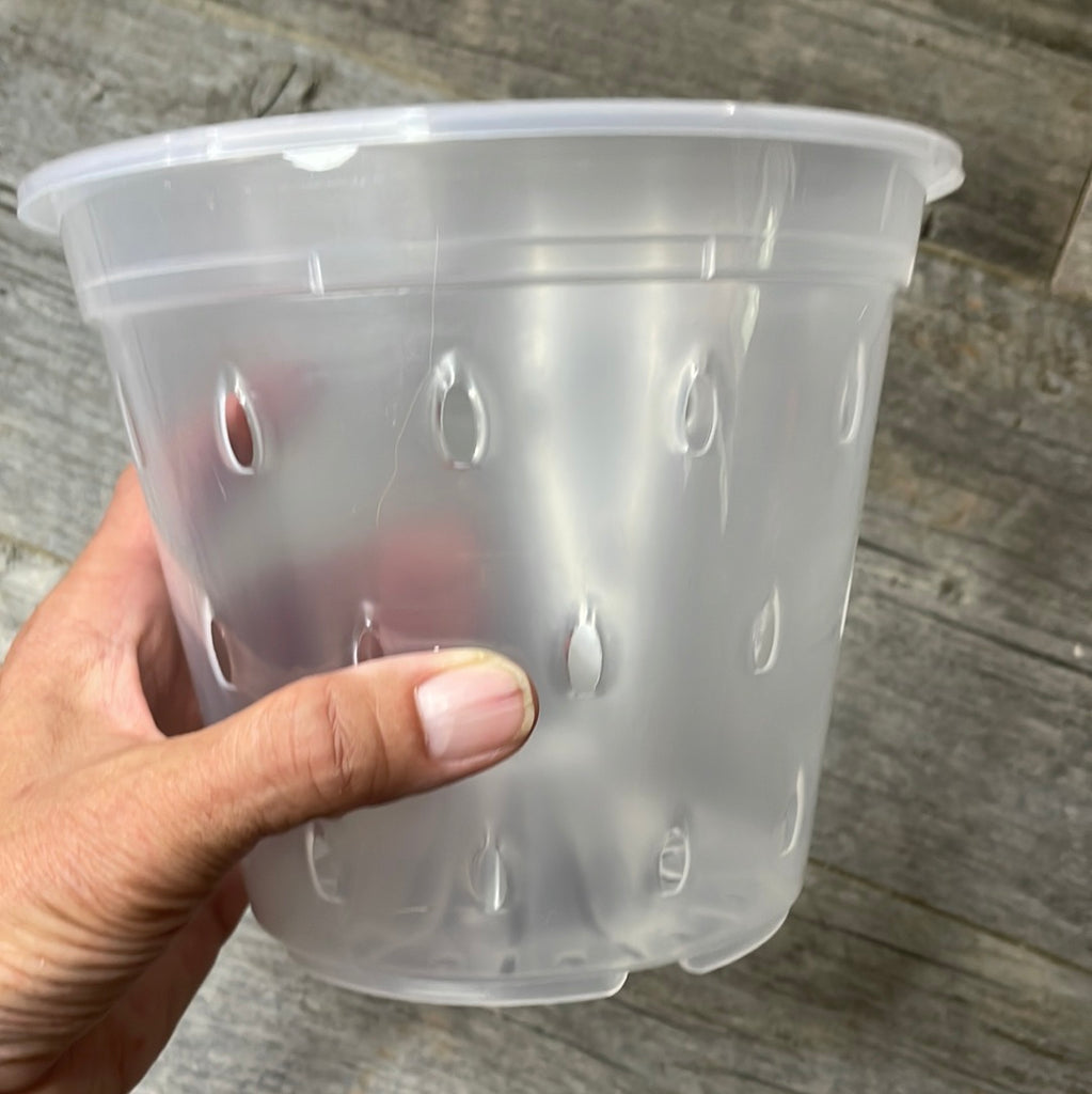 clear plastic planter 7" clear round orchid pot with holes – QuarterAcreOrchids