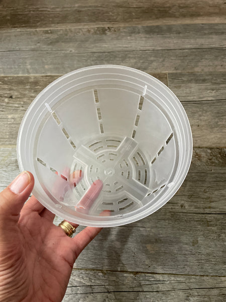 a hand holding a 6" round transparent  plastic orchid pot showing the inside and the side slots and drainage holes in the bottom.