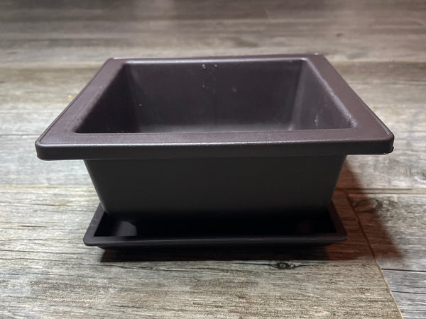 side view of a 6.6" square brown plastic bonsai pot with matching drip tray