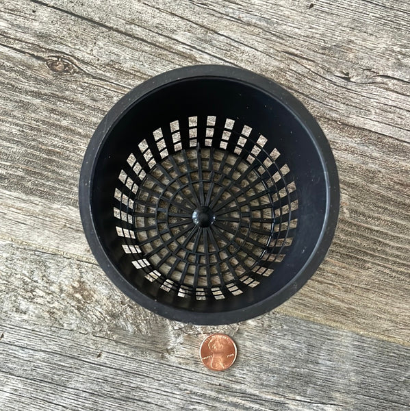 looking down into a round black 3.75" net cup showing all the drainage slots