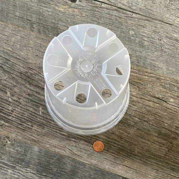showing the bottom drainage holes on  6" tall clear round orchid pot, with a penny for size comparison