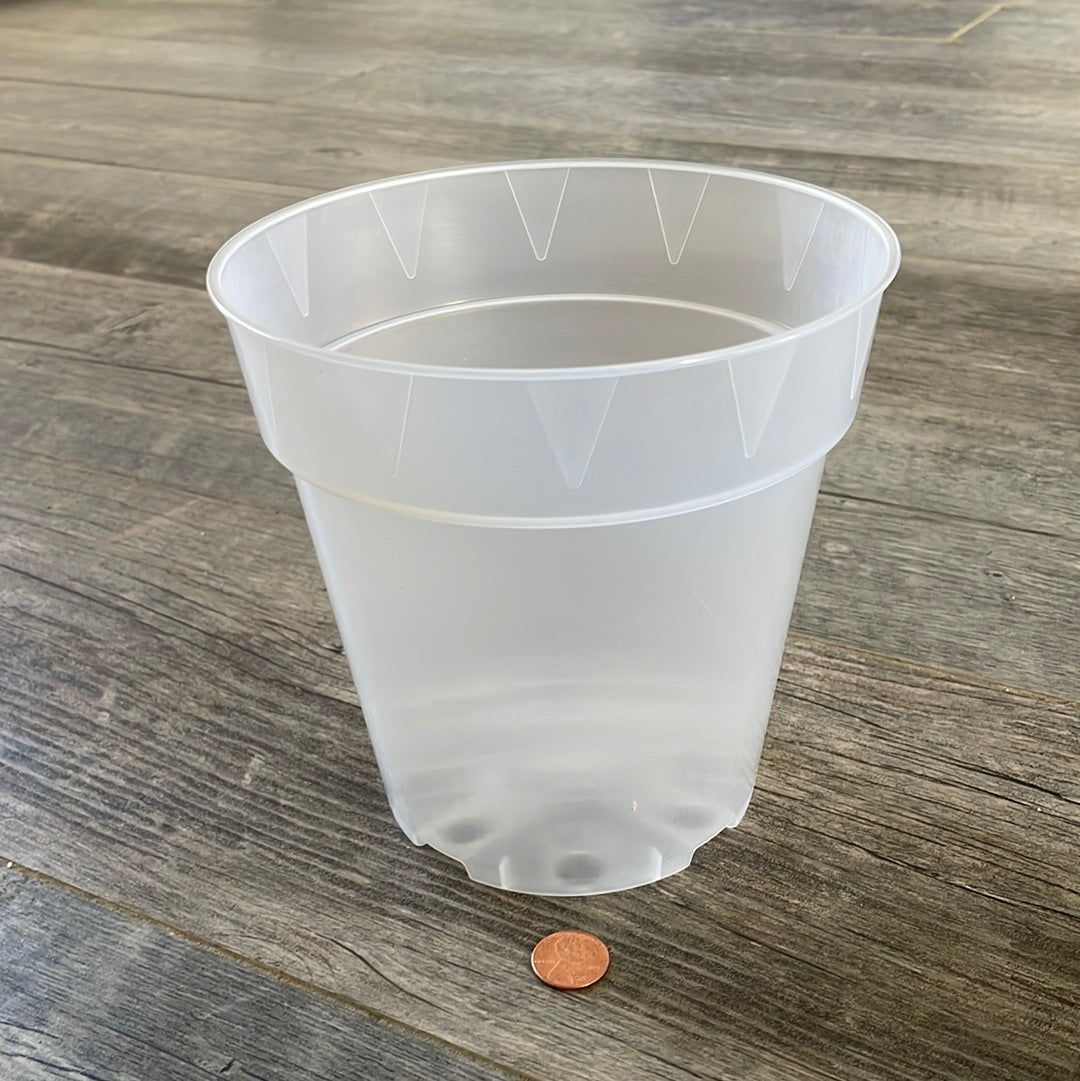 a side way view of a clear round 6" tall orchid pot