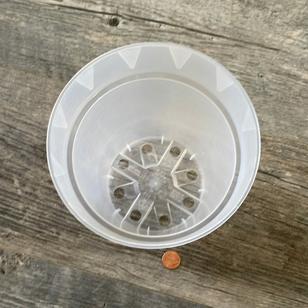 look down into the bottom of a 6" tall clear round orchid pot showing the drainage holes in the bottom, with a penny next to the pot for size comparison