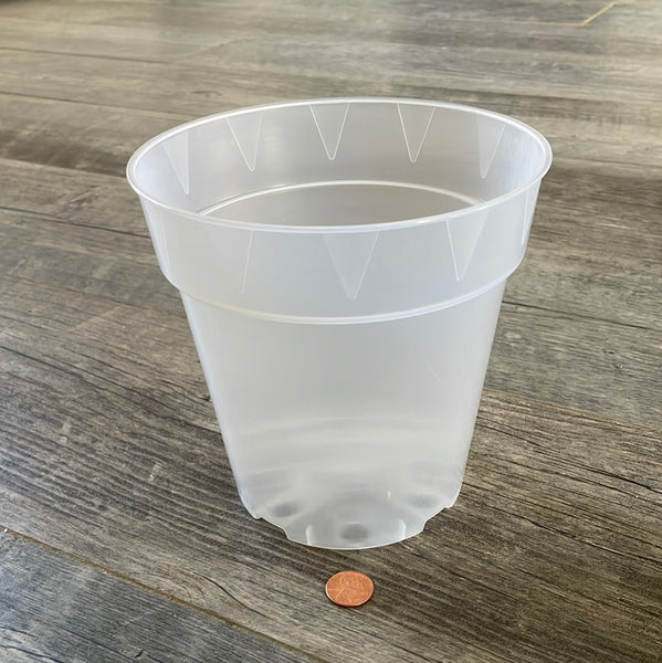 a side way view of a clear round 6" tall orchid pot