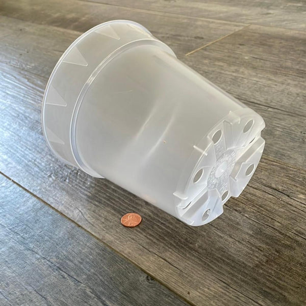 showing a 6" tall round clear orchid pot on its side next to a penny for size comparison