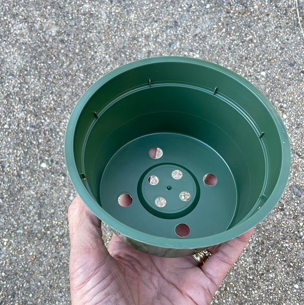 5" round green plastic bulb pan