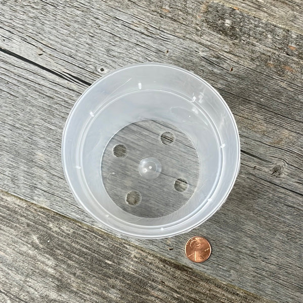 4 inch clear round plastic bulb pot