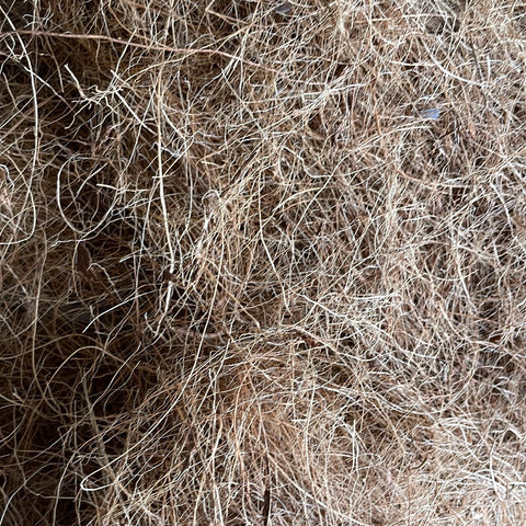 Coir (shredded coconut husk fibers) - gallon