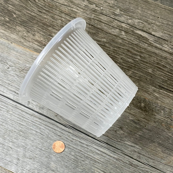 5.5" clear round mesh orchid pot