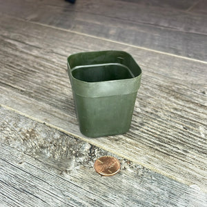 2" square green seedling pot