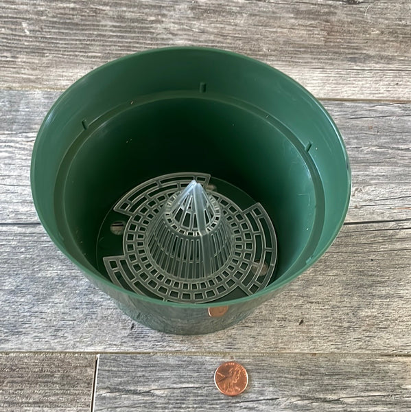 6" green plastic bulb pan with mesh orchid cone in the bottom