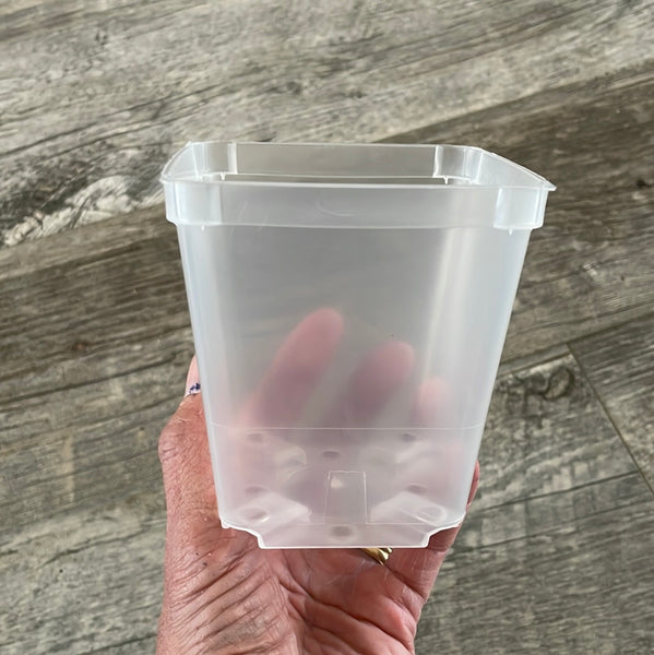 3.5" square clear pot