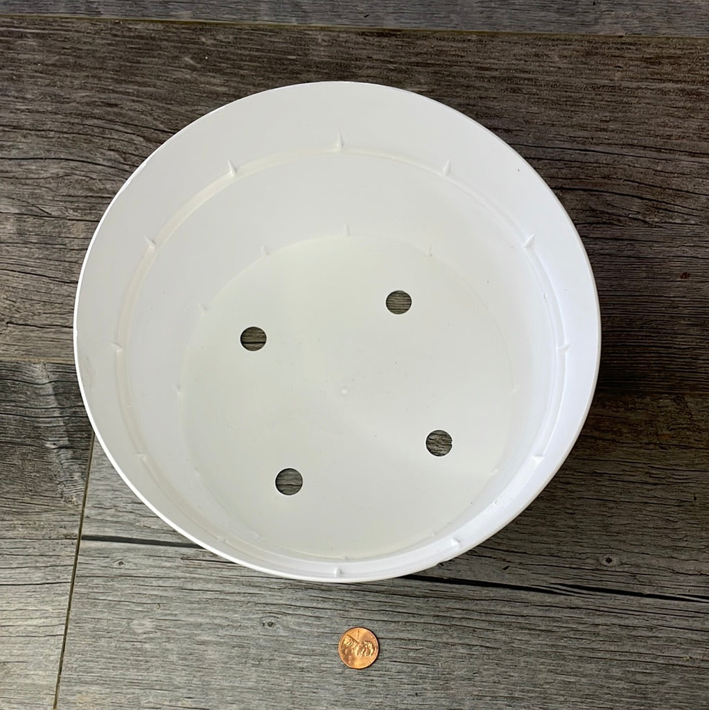 plastic bulb planter 8" white plastic bulb pan for orchids – QuarterAcreOrchids