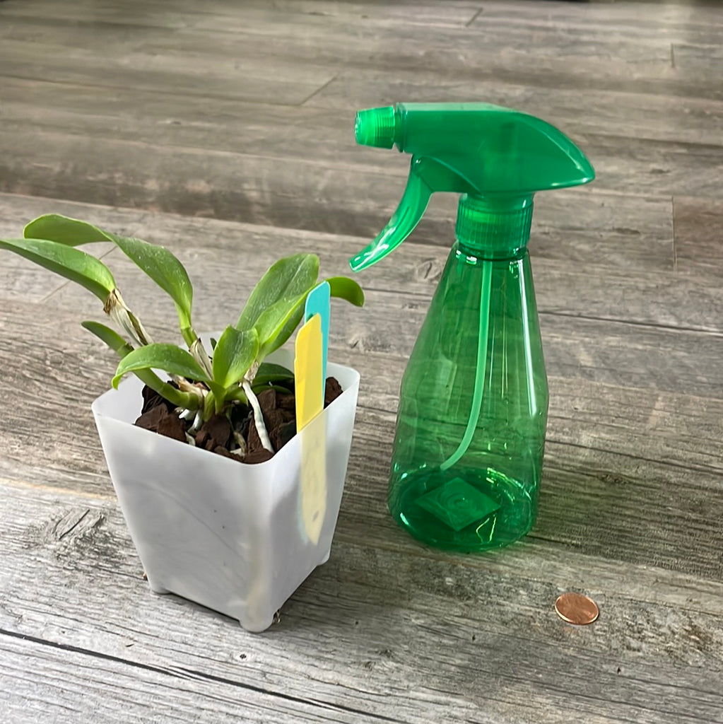 water spray bottle for garden Orchid Spray Bottle Mister for adding humidity to plants