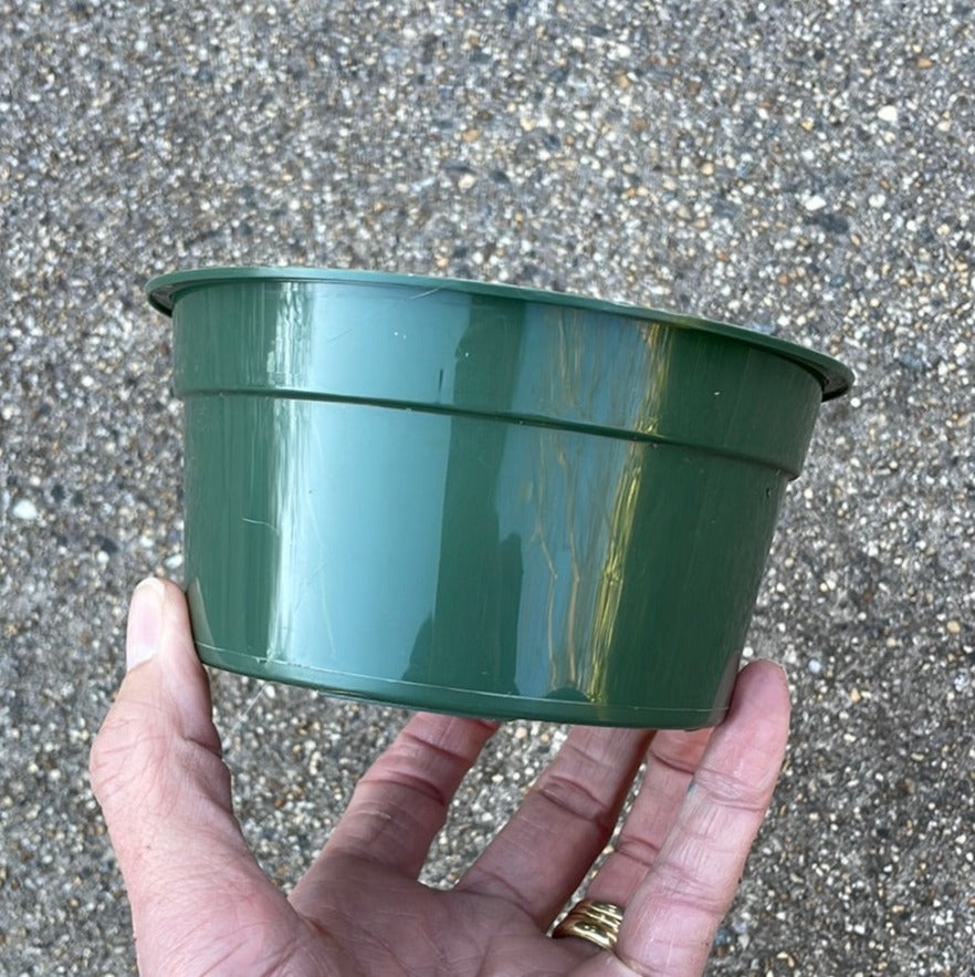 5" round green plastic bulb pan for orchids